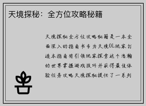 天境探秘：全方位攻略秘籍