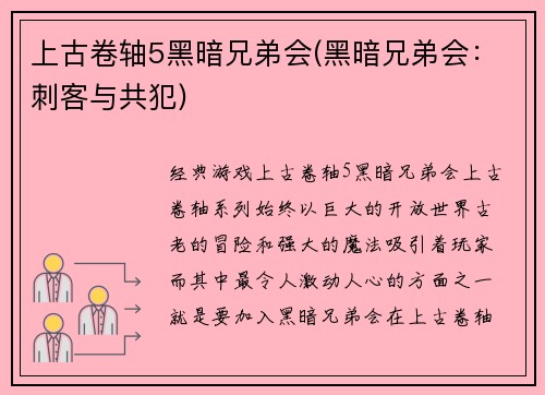 上古卷轴5黑暗兄弟会(黑暗兄弟会：刺客与共犯)